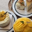 낙낙카페 | 성수역 디저트 맛집 까치화방 성수낙낙점 성수동 카페 추천