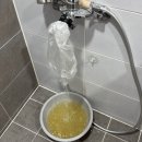 봉명주공2단지A | 냉·온수 수도배관청소, 계량기필터(수돗물필터) 설치 - 서울 노원구 중계주공4단지 아파트