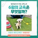 털로덮인친구들 애견유치원&애견호텔 수원시청역점 이미지