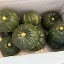 달님농장 이미지