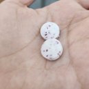 형곡초등학교 | 구미 형곡동 미용실 미라클헤어, 가성비 실력파 신상 헤어샵 디지털펌