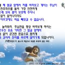 2016.1.31. 드림교회, 성경통독 점검 주일. 낮예배 말씀-나의 눈빛을 오직 주님께 맞추라. (시편16;8-11, 요5;39, 살전5;17) 이미지