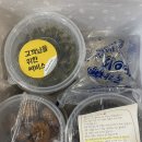 일월우체국 이미지