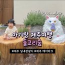 [제주]돌코리숲｜실내전시와 야외정원 모두 만족스러운 곳, 아이와제주여행, 제주실내관광지, 제주테마파크