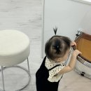 위드비스튜디오