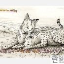 신혁농장 이미지