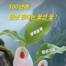 수림결혼정보 이미지