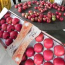 청정한일농장 이미지