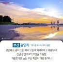 일출로4 이미지