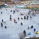 초리넝쿨마을 이미지