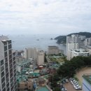 풀리페아파트 이미지