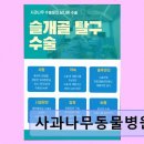 사과나무동물병원