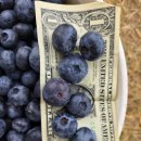 유픽(U-PICK) 이미지