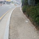 보도중로 2-22 이미지