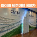 스테이552 | 아이와 10박 11일 제주 여행 DAY3 - 말 방목공원, 교래퐁낭, 삼다수 공장, 스테이552
