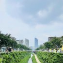 자담치킨 원미점 이미지