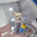아프리카동물병원 이미지