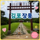 🌿 초여름 산책로로 딱! 현충일 김포장릉 가족 나들이 후기