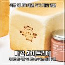 화이트리에배곧점