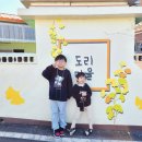 꿈꿈는자작나무가족카페 협동조합 | 경주 도리마을 은행나무숲 11월 끝물 주차장 팁