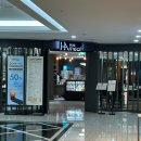 해밀톤수영장(실외) 이미지