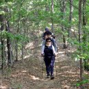 소정면사무소 이미지