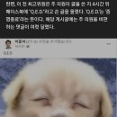 강남역 여성살해사건 기일에 비웃는 개 사진 올린 이준석 이미지