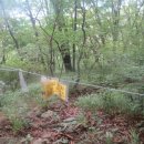 백운사 입구 좌측 이미지