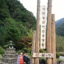 정선산소길 레일바이크길