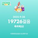 구룡산로51번길(3-360) | 양이의 9월 마지막탄