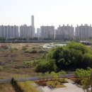 용산택지 이미지