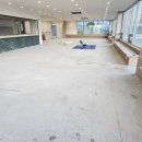 레이지독 이미지