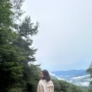 사람이음결혼정보 네이버블로그