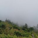 한여름 지리산 종주(성삼재에서 중산리까지) 이미지