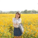 남문농장 이미지