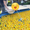 원광보건대학교산학협력단 | 토요일 전주 한옥마을 아이랑 먹거리 즐길거리