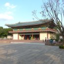 숲속버스킹 이미지