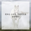 인생커트#
