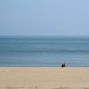 조약돌해변 뉴시스