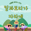 [안산요양원/상록구요양원/일동요양원] 안산조은시니어센터 20250609 맞춤프로그램/백세누리안산/인지수...