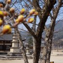 남원 실상사 동·서 삼층석탑 | 남원 실상사 삼층석탑 보물 제37호