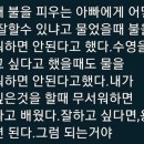 낭만청춘