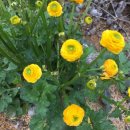 오즈어린이집 이미지