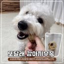 강아지간식추천! 오래 먹는 수제간식 또달래 강아지 우족 급여 후기