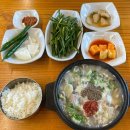 국밥이야기 | 제주도 현지인 추천 맛집 서귀포 순대국밥 순대이야기 내돈내산 솔직후기