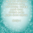 신광이용