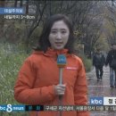 주정차-51 이미지