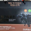황칠흑염소 이미지