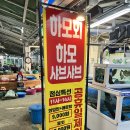 착한회시장 | 부산대방어회 맛집 착한산곰장어 시장횟집 재방문 후기