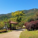 화명수목원 이미지